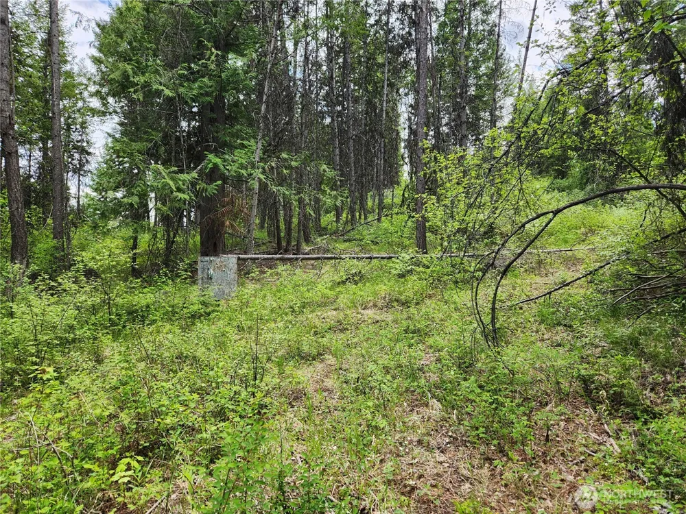 318 Rockabye Lane Curlew, WA 99118