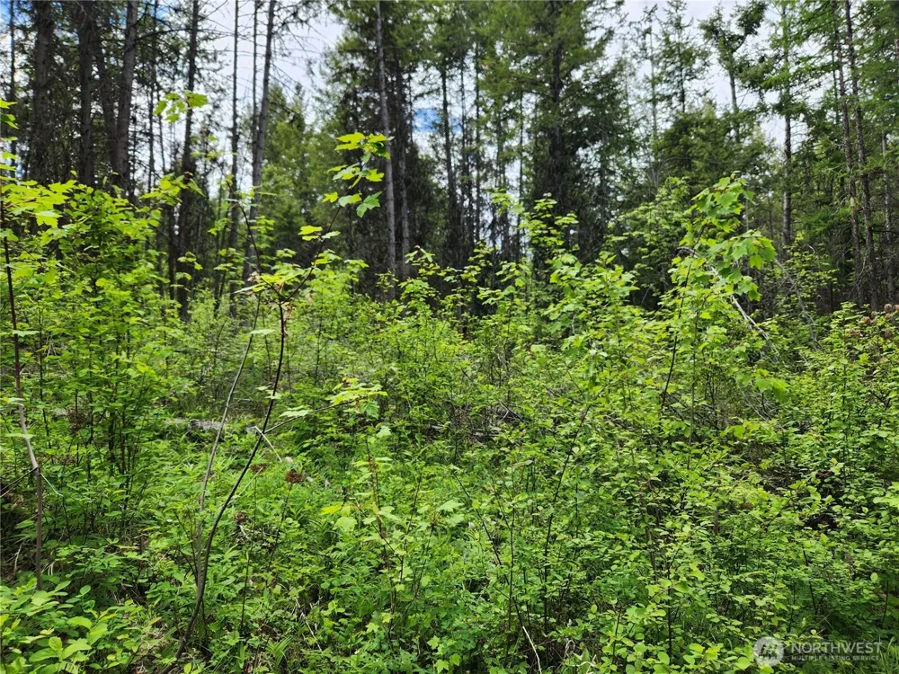 318 Rockabye Lane Curlew, WA 99118