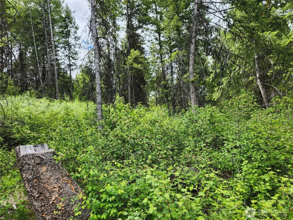 318 Rockabye Lane Curlew, WA 99118
