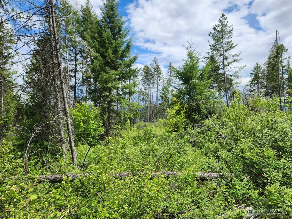 318 Rockabye Lane Curlew, WA 99118