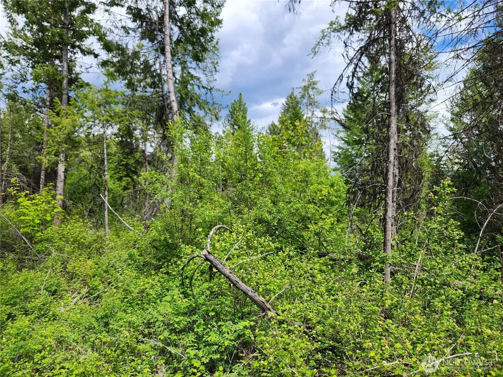 318 Rockabye Lane Curlew, WA 99118