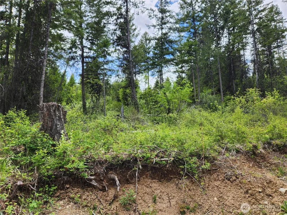318 Rockabye Lane Curlew, WA 99118