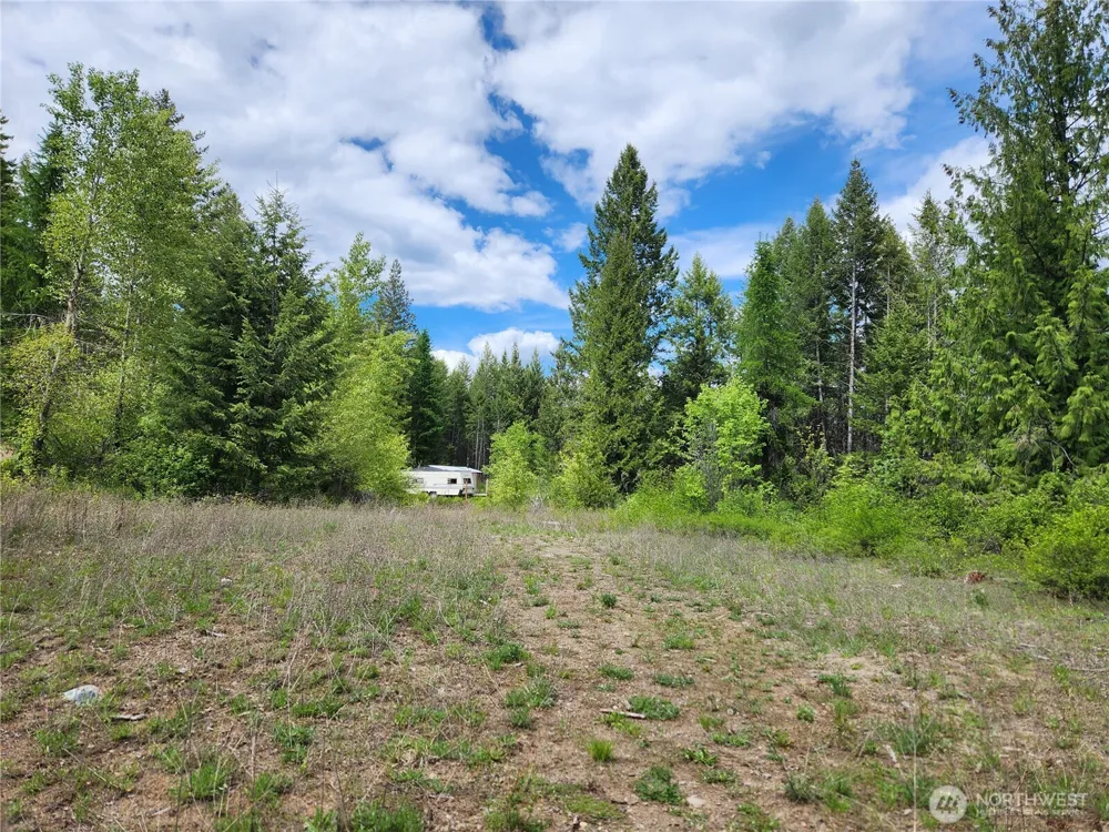 318 Rockabye Lane Curlew, WA 99118