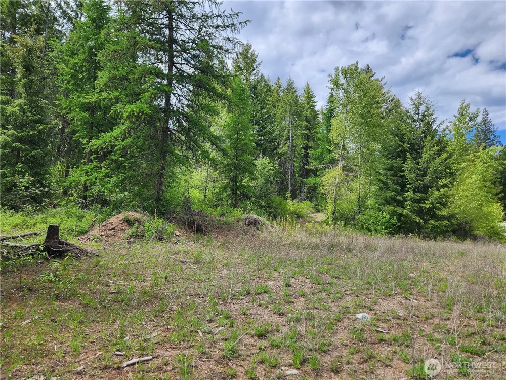 318 Rockabye Lane Curlew, WA 99118