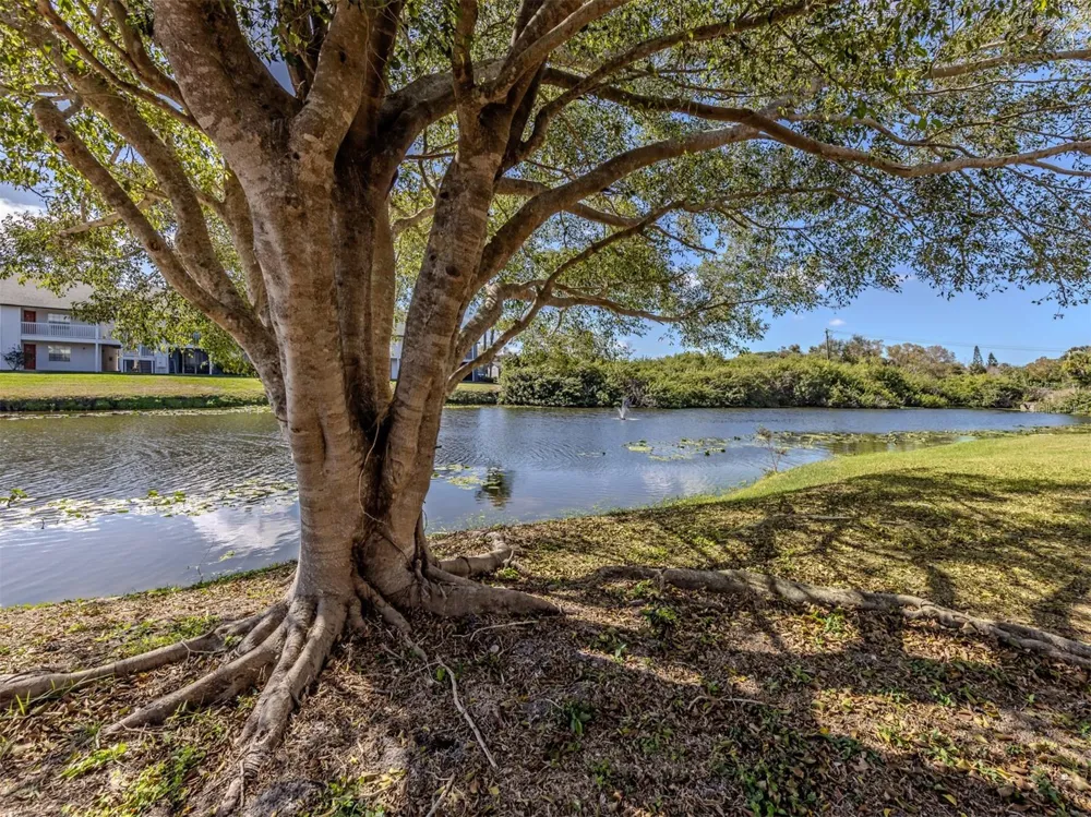 2616 HIDDEN LAKE DRIVE #A Sarasota, FL 34237