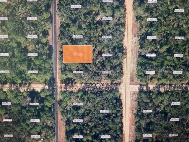 XX THERESA AVENUE Interlachen, FL 32148