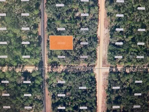 XX THERESA AVENUE