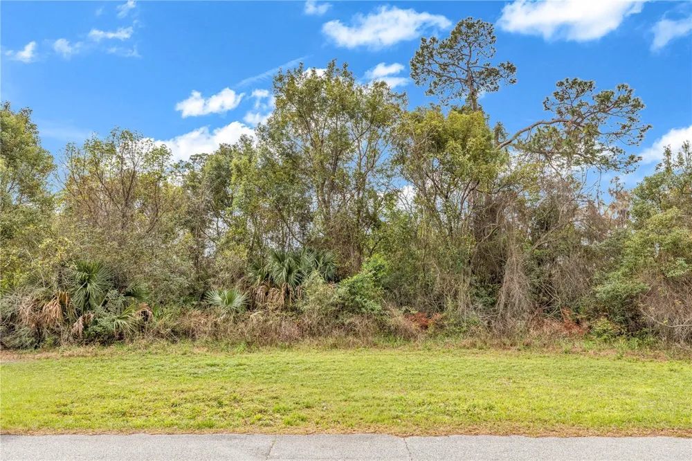 205 PLUMOSA ROAD Debary, FL 32713