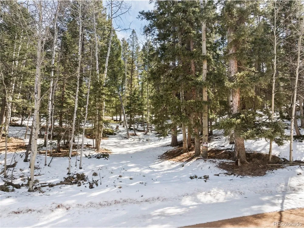 358 Pawutsy Road Florissant, CO 80816