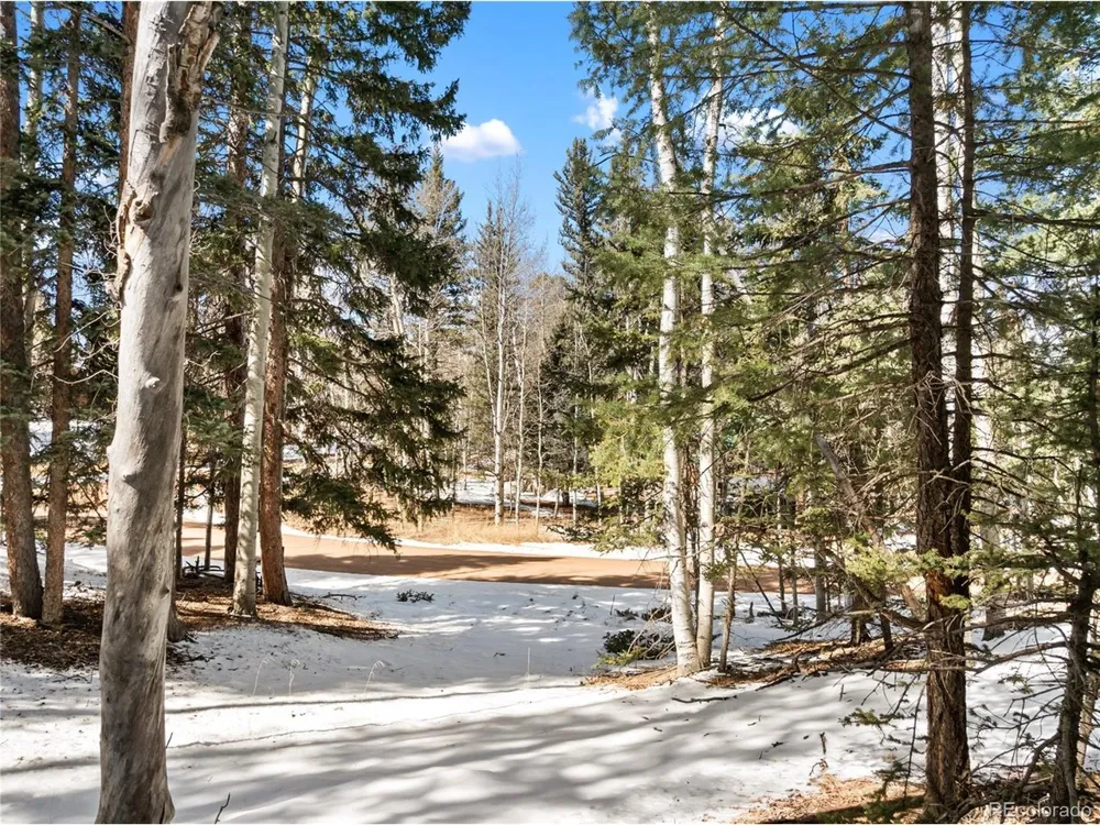 358 Pawutsy Road Florissant, CO 80816
