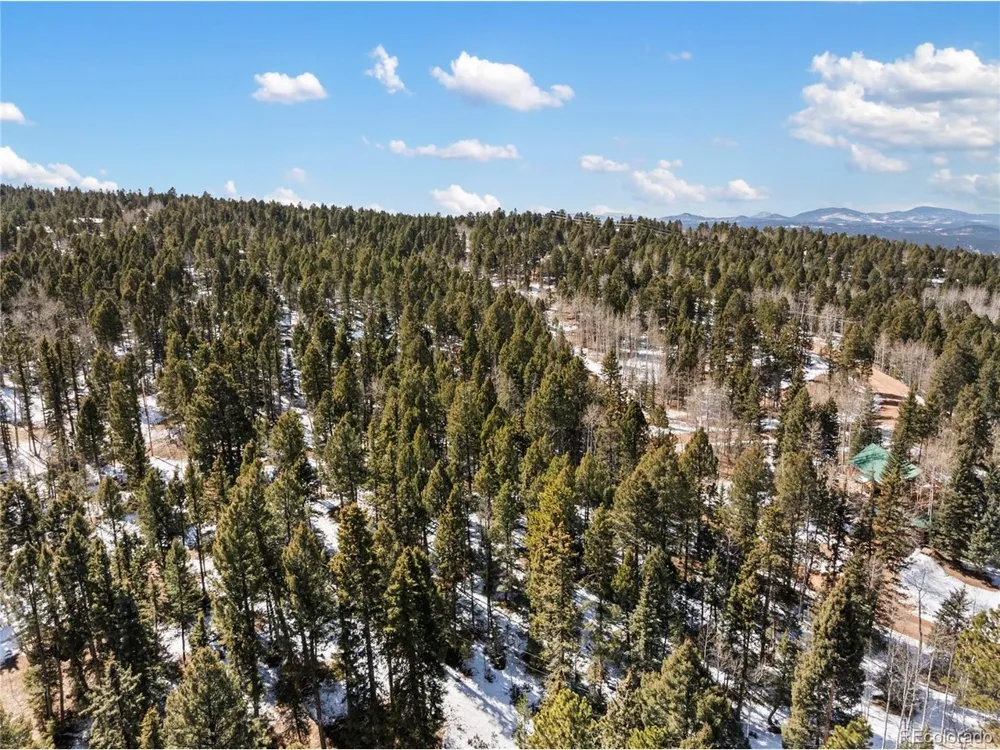 358 Pawutsy Road Florissant, CO 80816