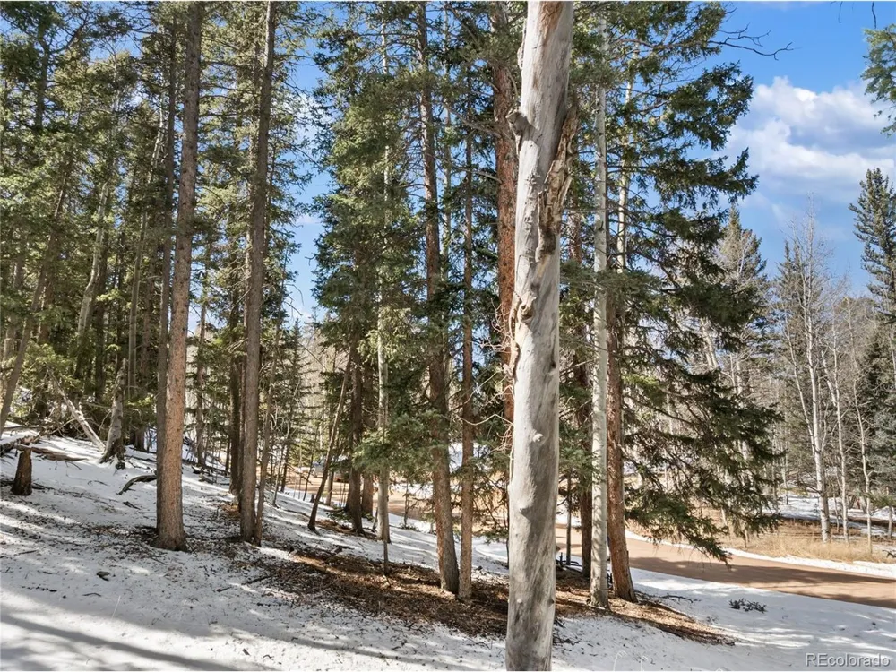 358 Pawutsy Road Florissant, CO 80816