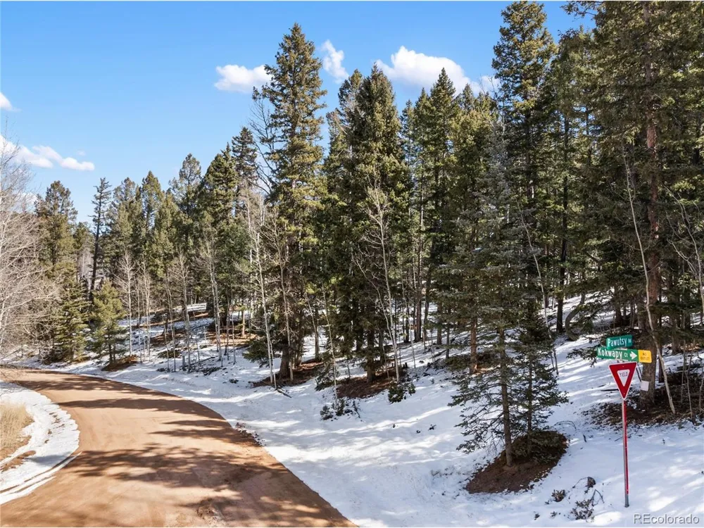 358 Pawutsy Road Florissant, CO 80816