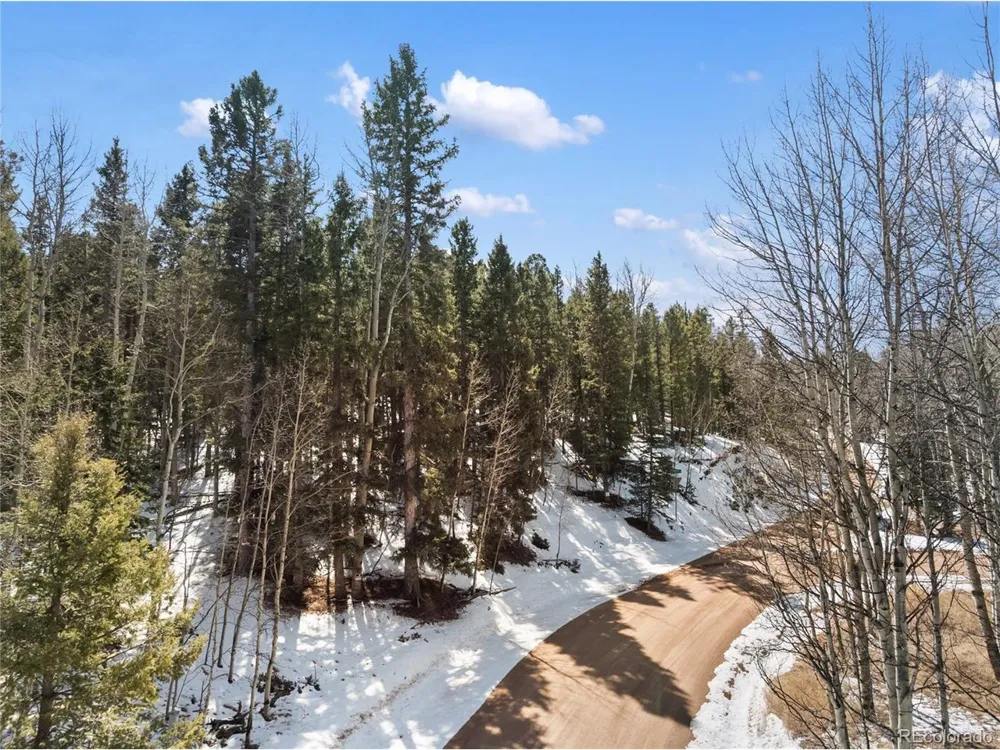 358 Pawutsy Road Florissant, CO 80816