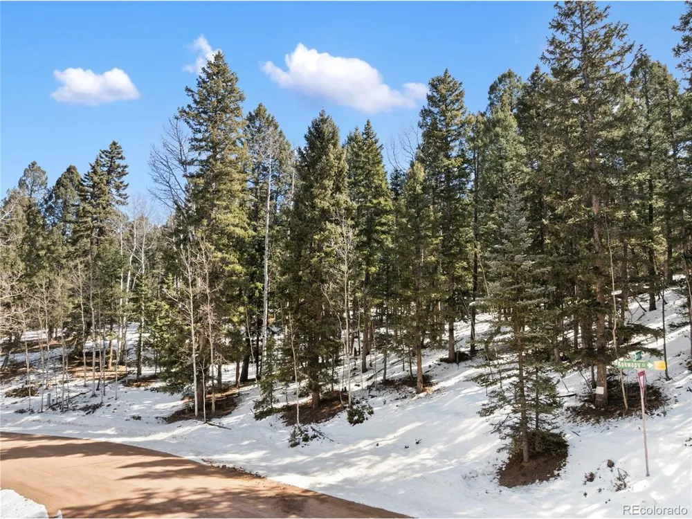 358 Pawutsy Road Florissant, CO 80816