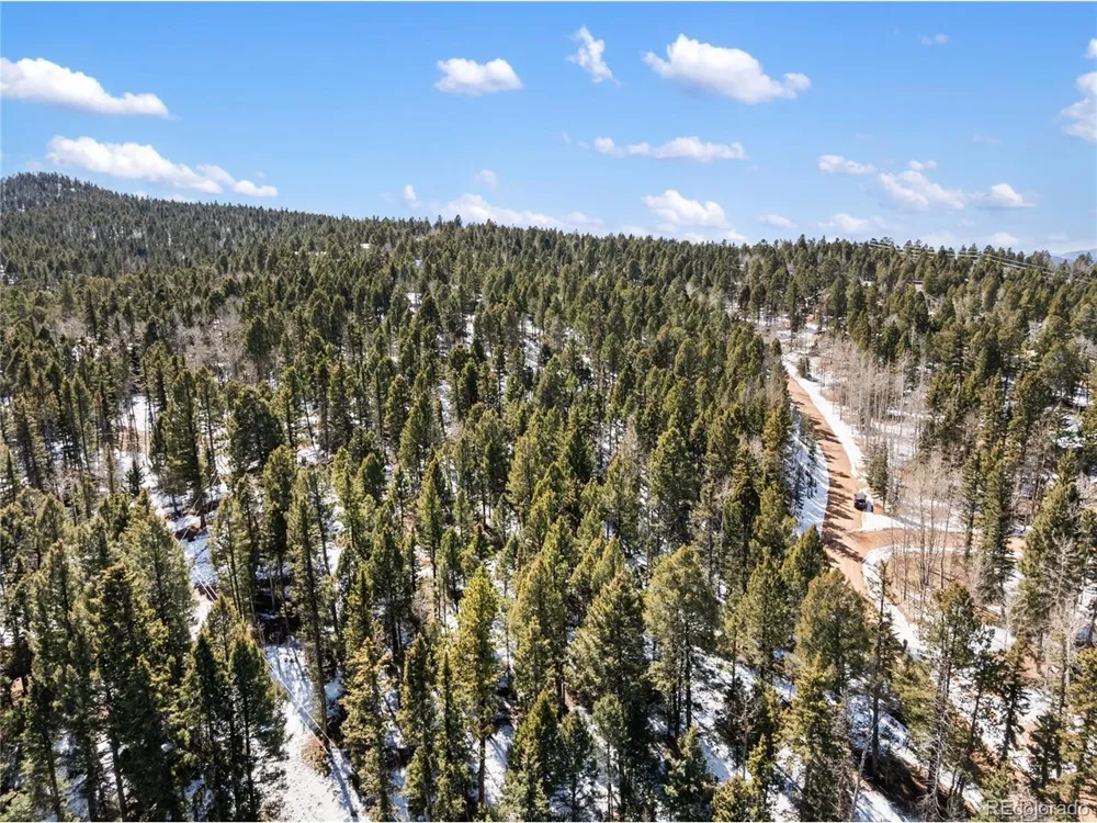 358 Pawutsy Road Florissant, CO 80816