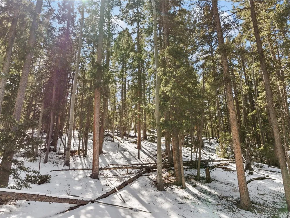 358 Pawutsy Road Florissant, CO 80816