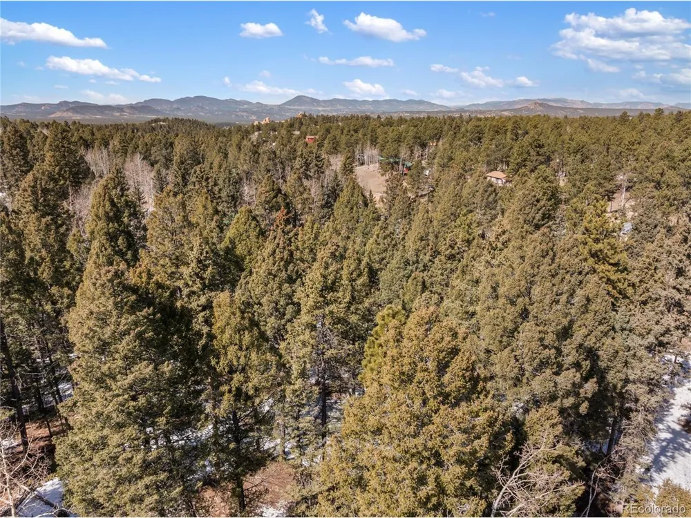 358 Pawutsy Road Florissant, CO 80816