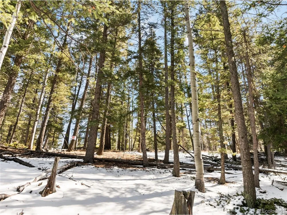 358 Pawutsy Road Florissant, CO 80816