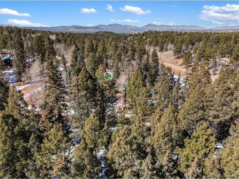 358 Pawutsy Road Florissant, CO 80816
