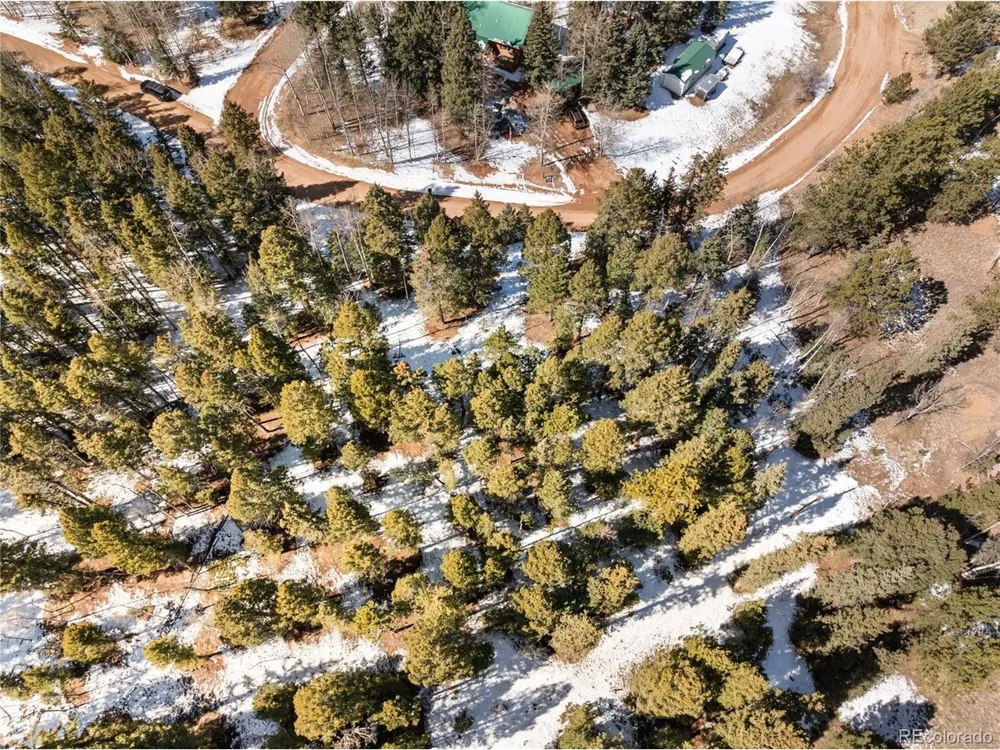 358 Pawutsy Road Florissant, CO 80816