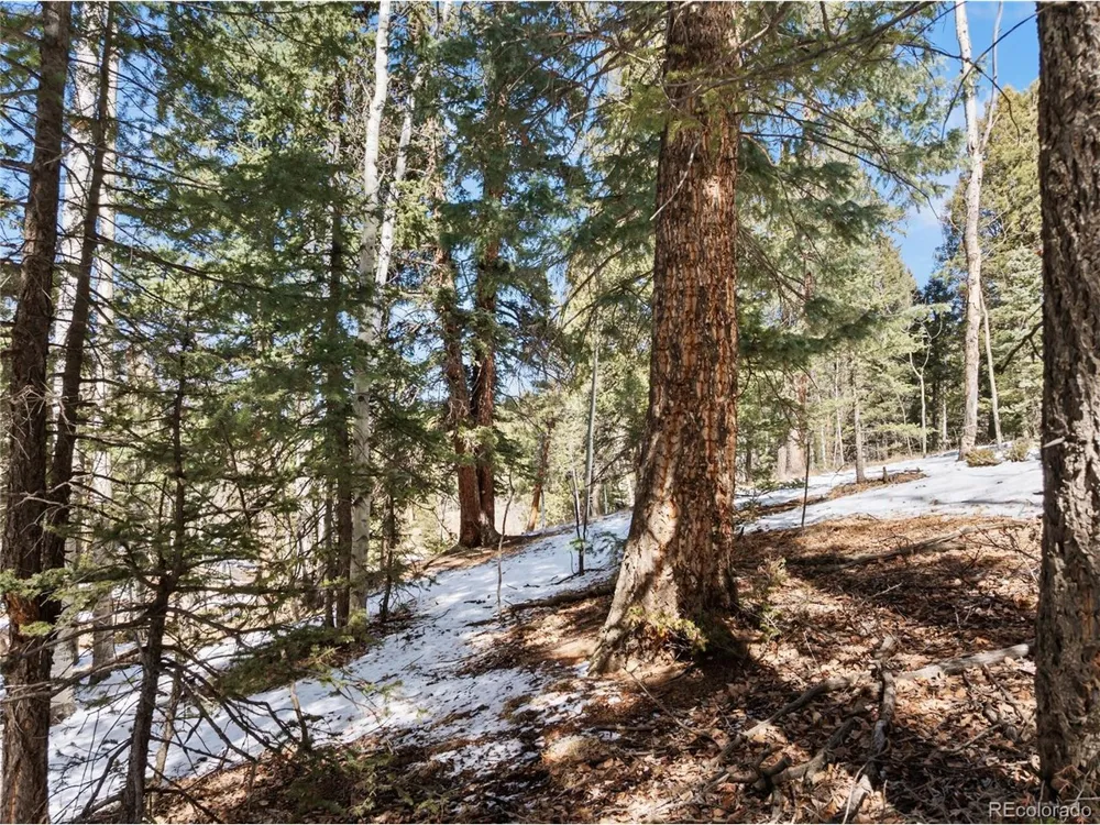 358 Pawutsy Road Florissant, CO 80816