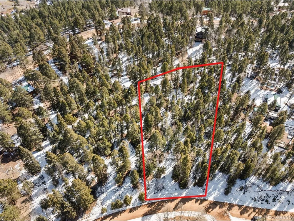 358 Pawutsy Road Florissant, CO 80816