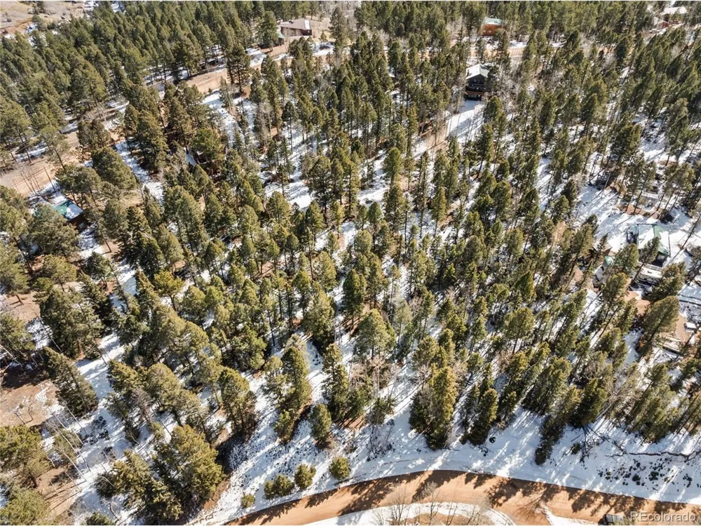 358 Pawutsy Road Florissant, CO 80816