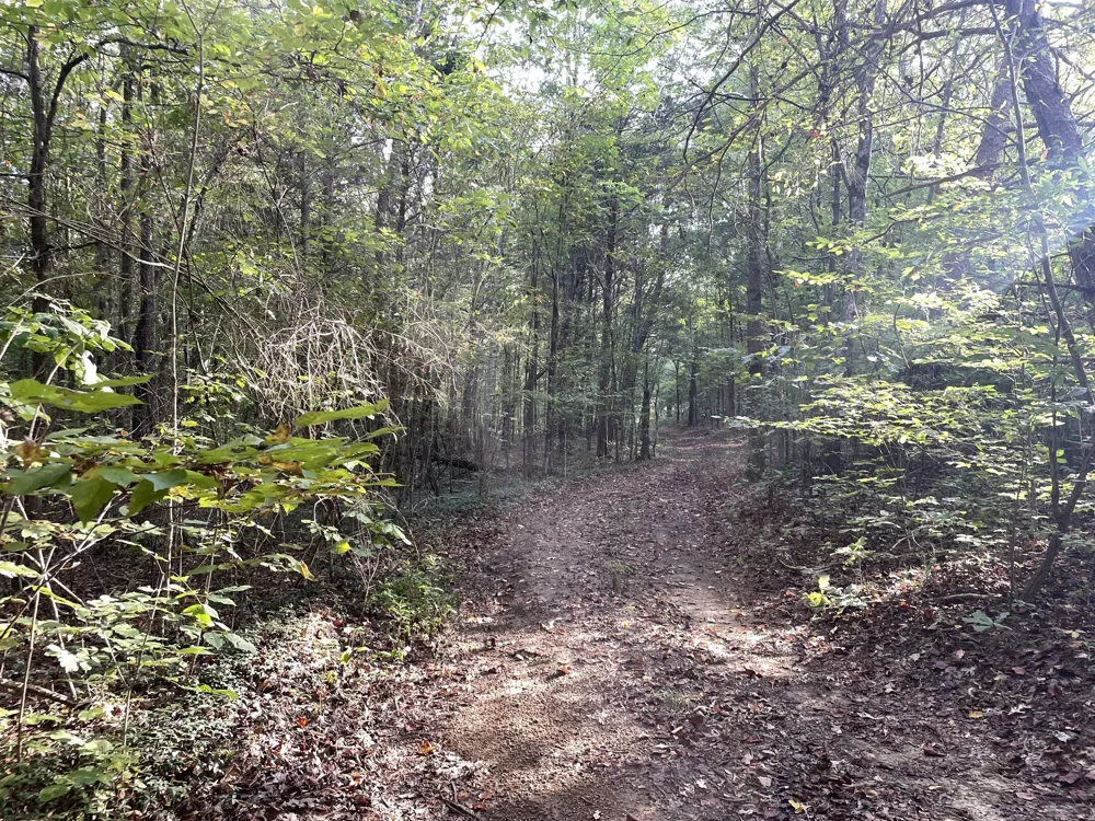 0 Waters Road Centerville, TN 37033