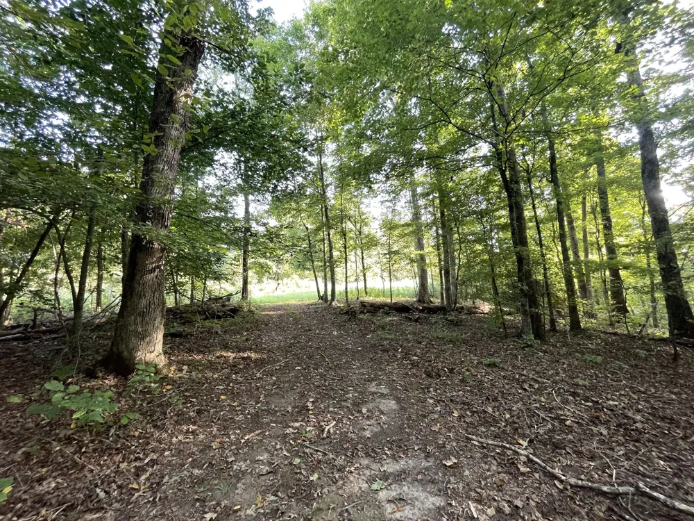 0 Waters Road Centerville, TN 37033