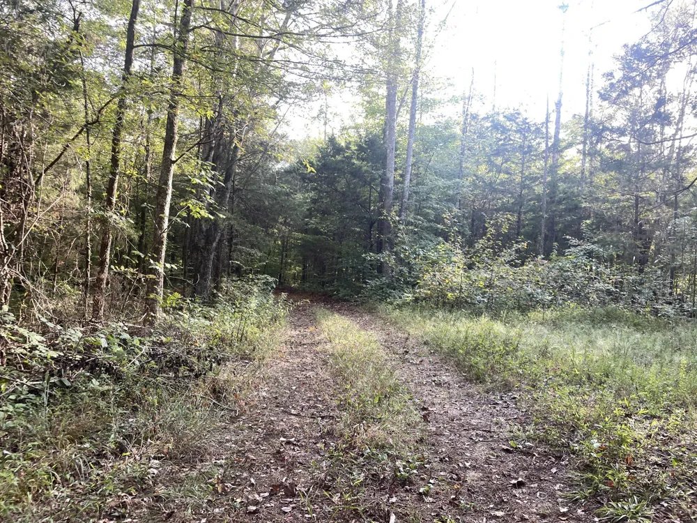 0 Waters Road Centerville, TN 37033