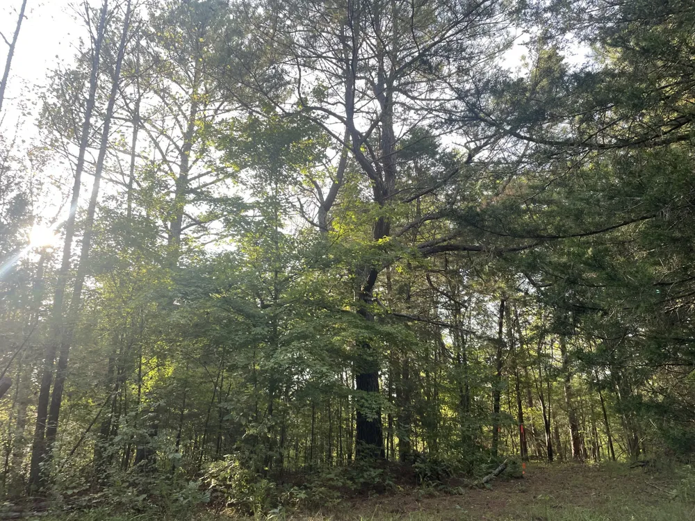 0 Waters Road Centerville, TN 37033