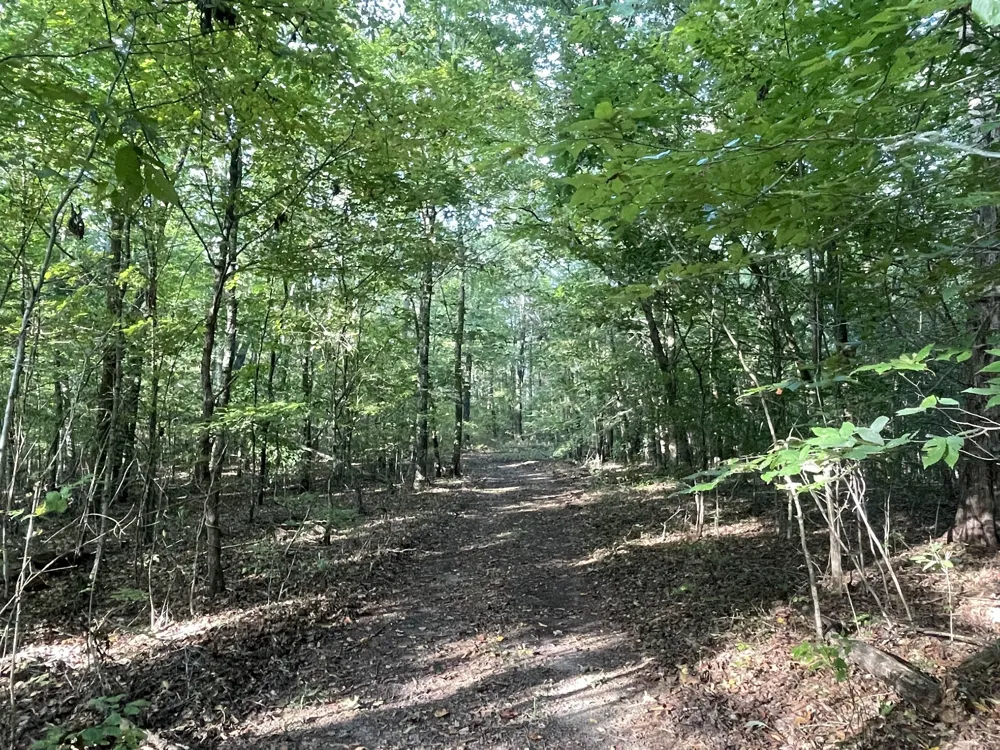 0 Waters Road Centerville, TN 37033