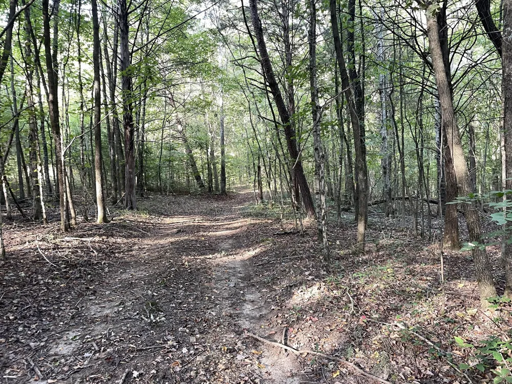 0 Waters Road Centerville, TN 37033