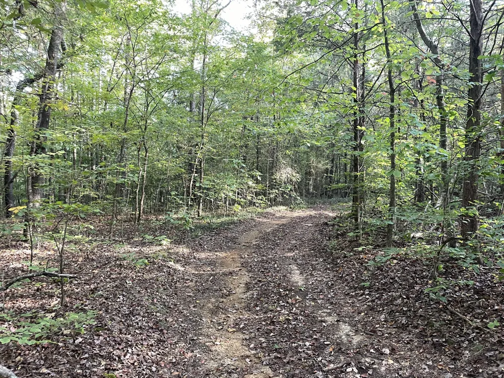 0 Waters Road Centerville, TN 37033