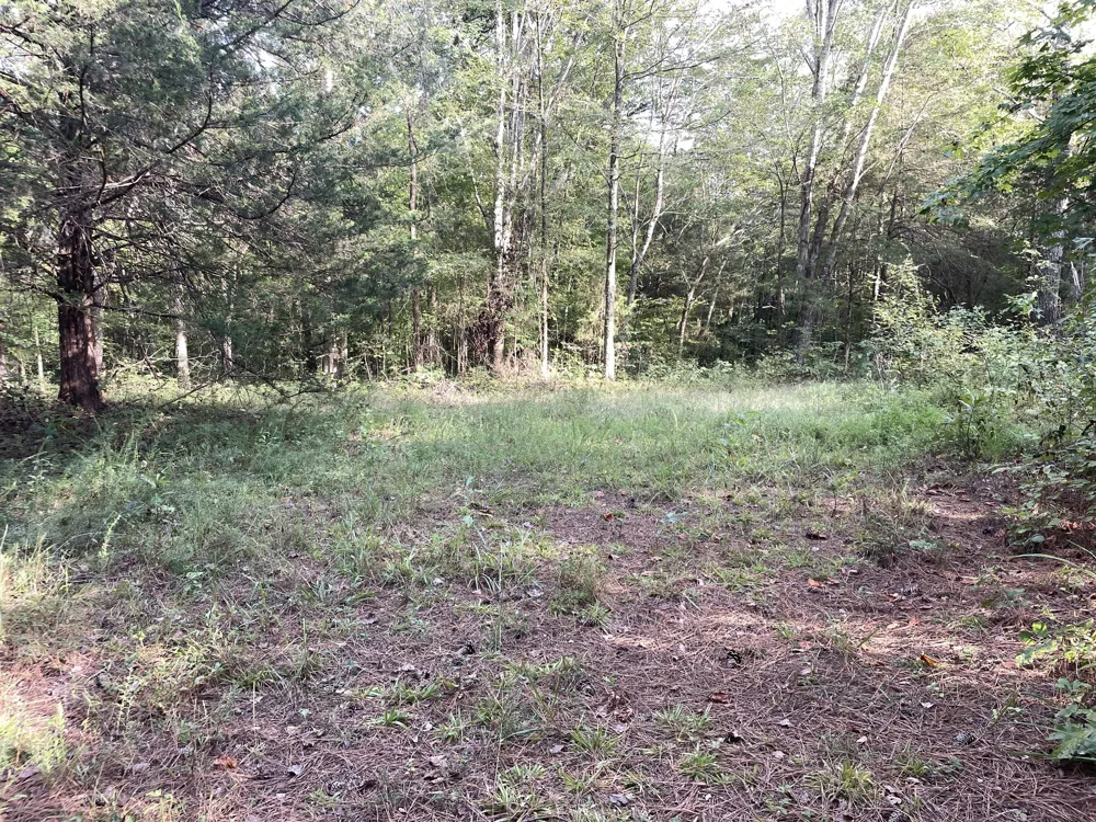0 Waters Road Centerville, TN 37033
