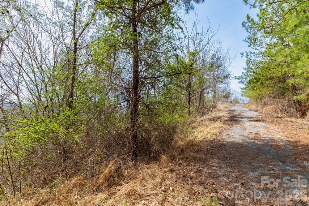 00 Crist View Drive #Lot 12 Marshall, NC 28753