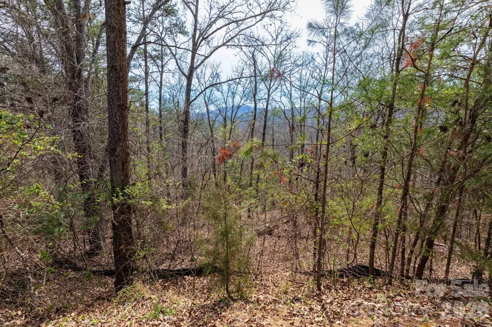 00 Crist View Drive #Lot 12 Marshall, NC 28753