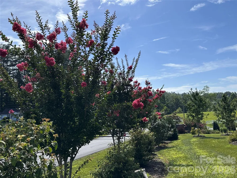 717 Daniel Circle Drive Mills River, NC 28759