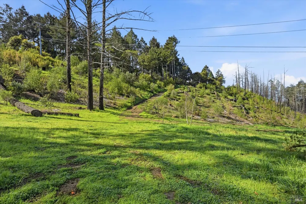 1830 Howell Mountain Road St. Helena, CA 94574