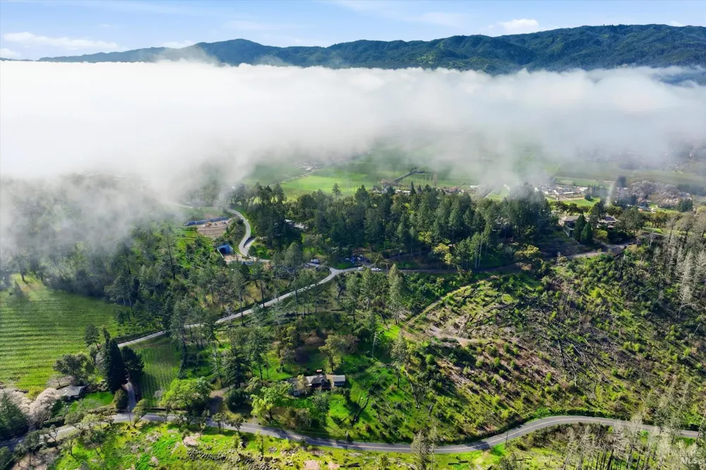 1830 Howell Mountain Road St. Helena, CA 94574