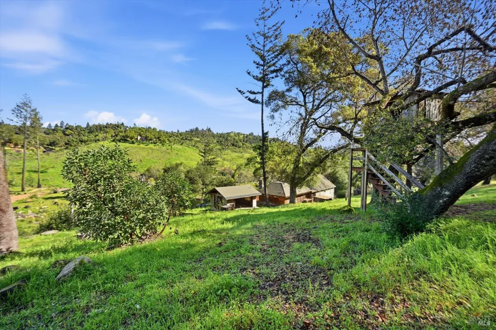 1830 Howell Mountain Road St. Helena, CA 94574