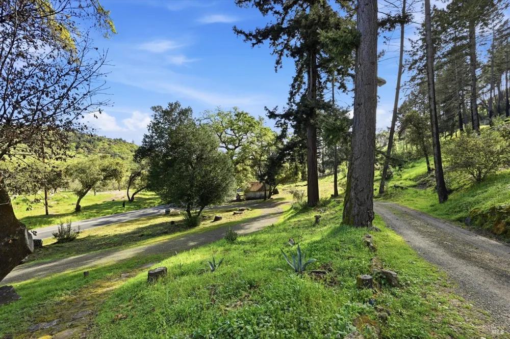1830 Howell Mountain Road St. Helena, CA 94574