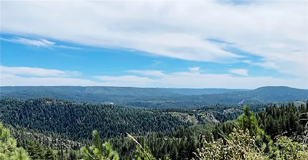 15052 Red Hill Spring Road Nevada City, CA 95959