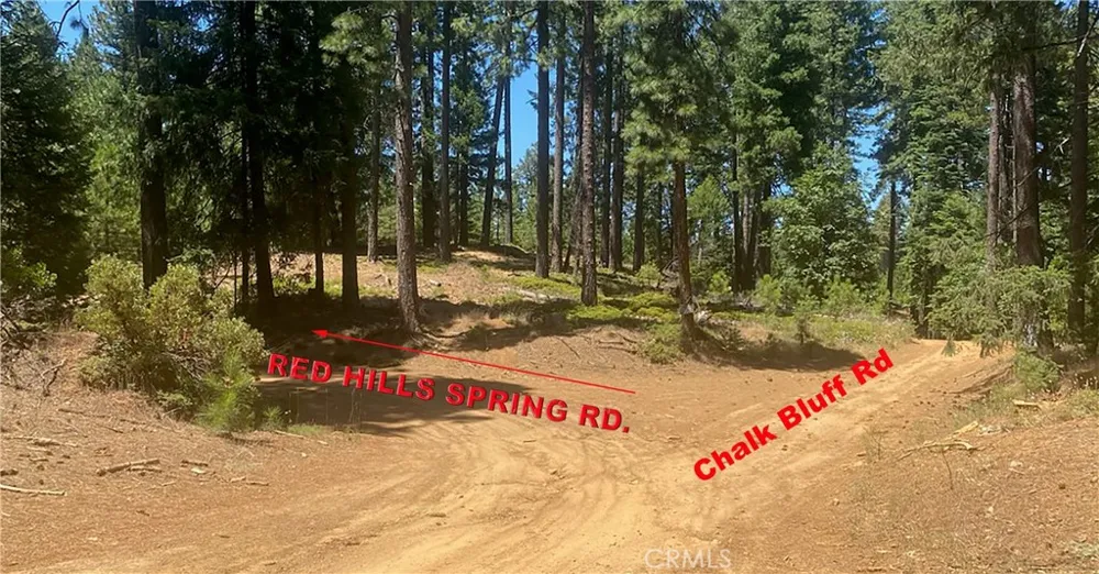 15052 Red Hill Spring Road Nevada City, CA 95959