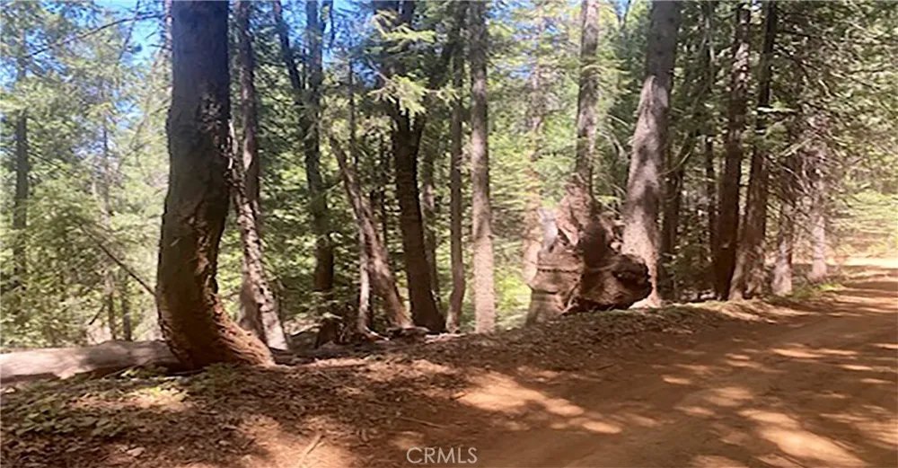 15052 Red Hill Spring Road Nevada City, CA 95959