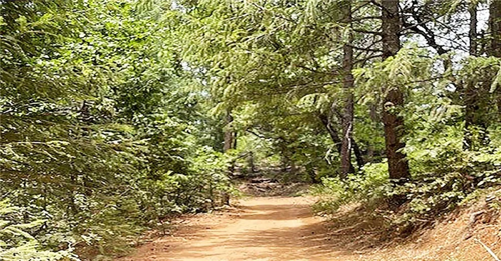 15052 Red Hill Spring Road Nevada City, CA 95959