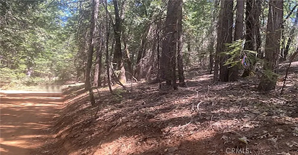 15052 Red Hill Spring Road Nevada City, CA 95959