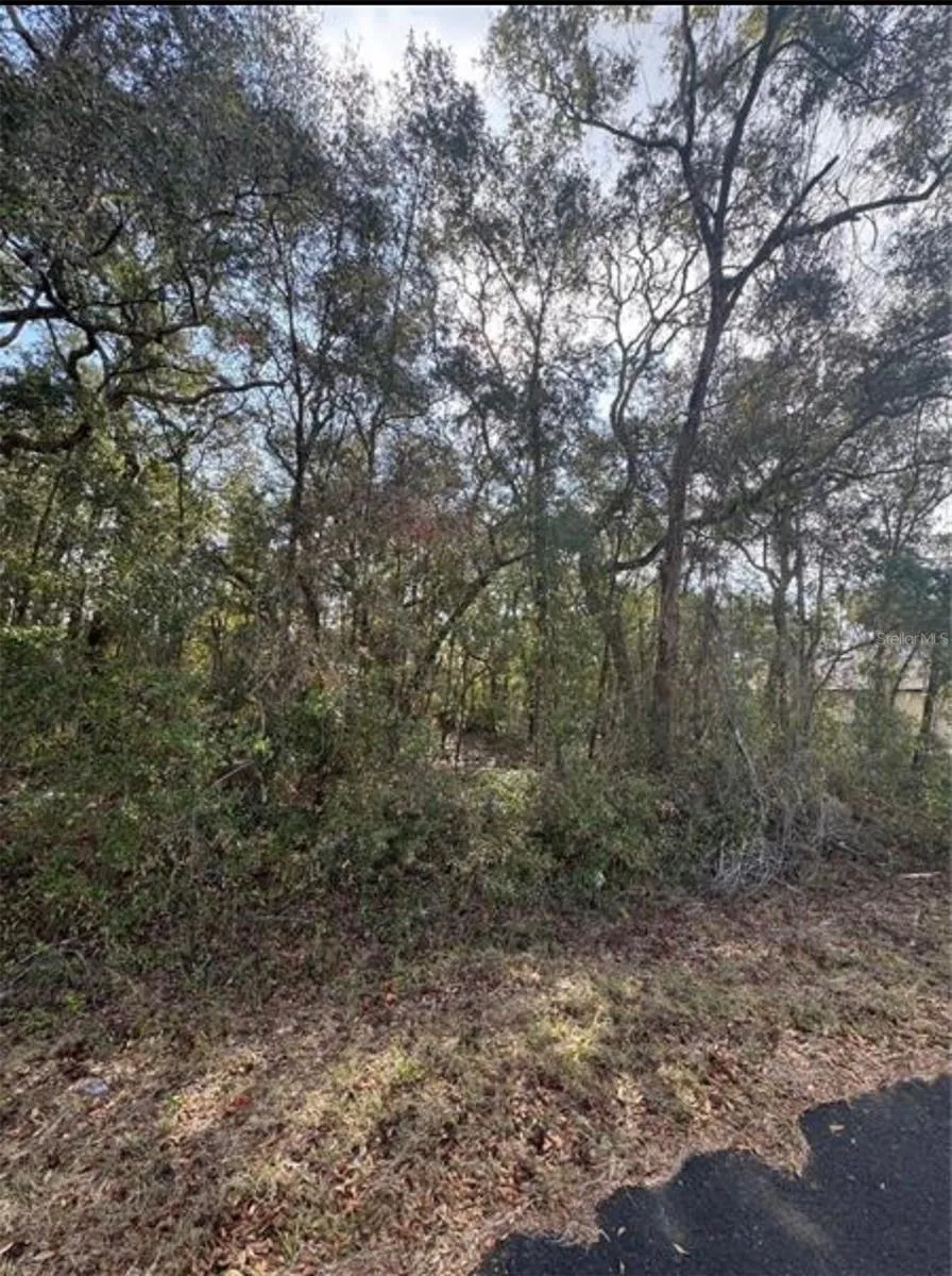TBD LOCUST LOOP TERRACE ocala, FL 34472