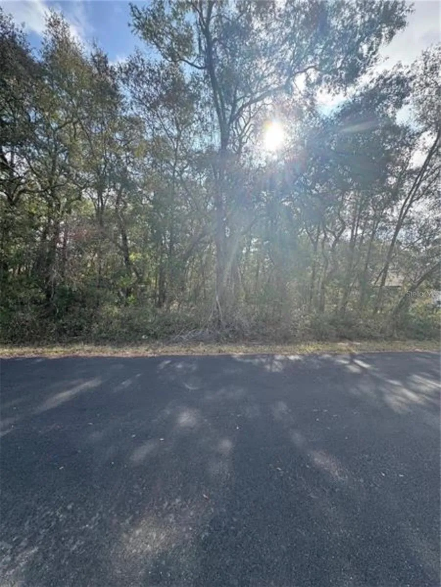 TBD LOCUST LOOP TERRACE ocala, FL 34472